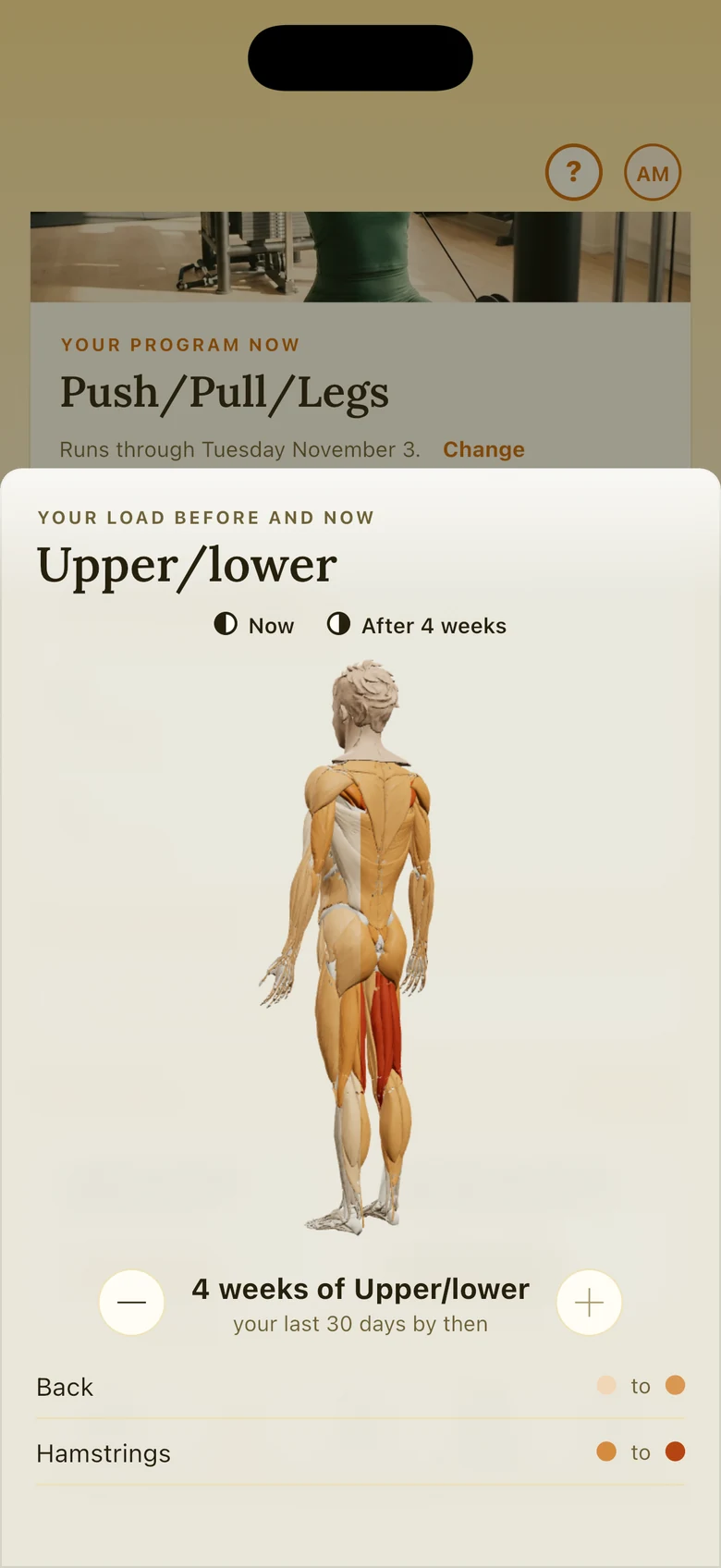 Before you start a program: a 3D figure of what four weeks of Upper/lower does to your muscles.