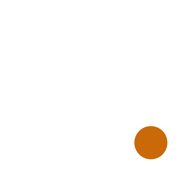 The a with the orange dot, without a background, in white.